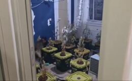 Narkoçelik-40 operasyonlarında 4 ton uyuşturucu ele geçirildi