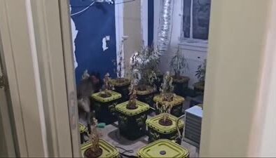 Narkoçelik-40 operasyonlarında 4 ton uyuşturucu ele geçirildi