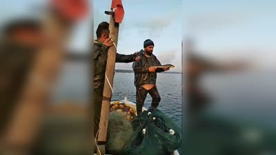 Balıkçı, ağına takılan mersin balığını tekrar denize bıraktı