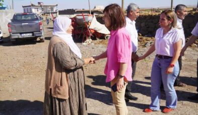 Serra Bucak, Bağlar ilçesinde incelemelerde bulundu
