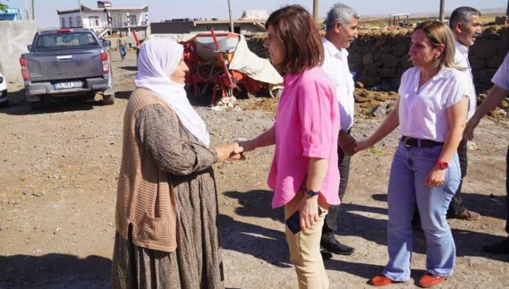 Serra Bucak, Bağlar ilçesinde incelemelerde bulundu