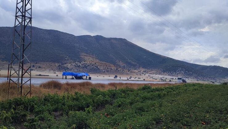 Tatvan’da şiddetli dolu yağışı ekinlere ve yollara zarar verdi