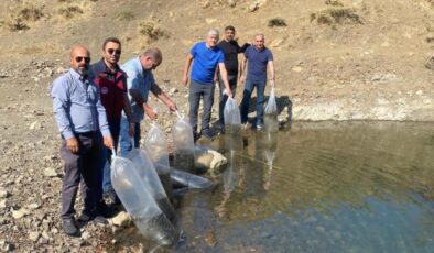 Tunceli’de doğal göle 80 bin yavru sazan bırakıldı