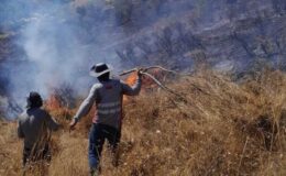 Tunceli’de ot yangını ormana sıçramadan söndürüldü