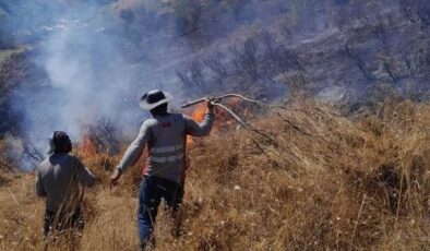 Tunceli’de ot yangını ormana sıçramadan söndürüldü