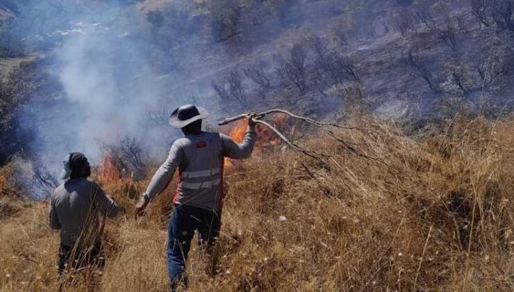 Tunceli’de ot yangını ormana sıçramadan söndürüldü