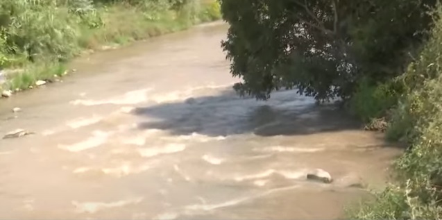 Kayıp Narin’in cesedi bu ağacın altında bulundu