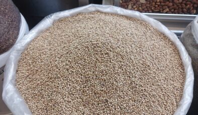 Mardin Kişnişi Diyarbakır Tezgahlarında