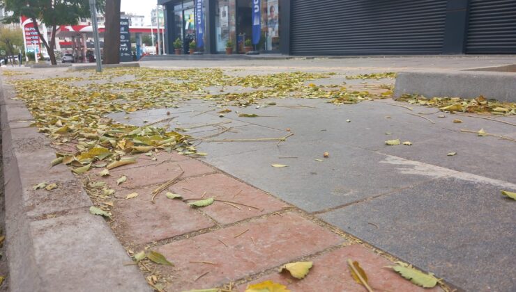Diyarbakır’da Güz heyecanı