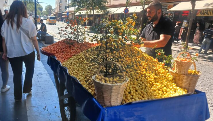 Sarı ve Kırmızı renkli giwij’ler (aluç) tezgahları süslüyor