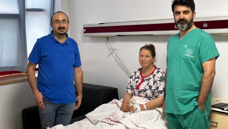 7 aylık çile Diyarbakır’da sona erdi