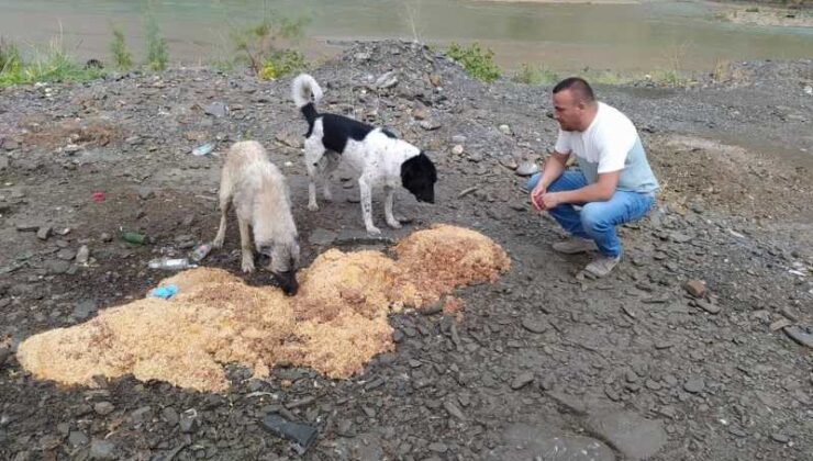 Yağmurlu havada hayvanlara yiyecek yardımı sürüyor