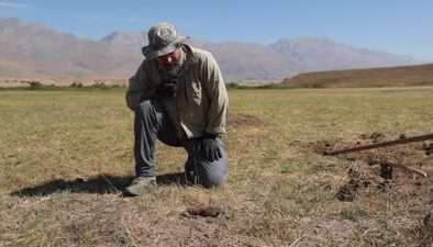 Tunceli’de kör fareler üzerine ilginç araştırmalar