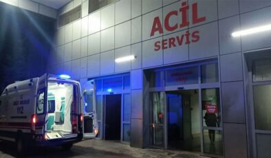 Bingöl’de otomobilin çarptığı üniversite öğrencisi hayatını kaybetti