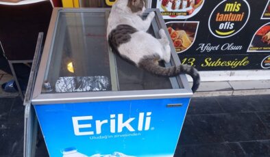 Hijyen kuralları dikkate alınmalı!