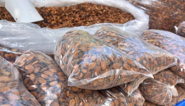 Şifa kaynağı Diyarbakır karpuz çekirdeği tezgahlarda