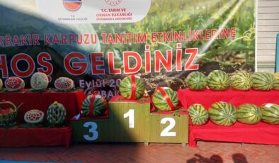 Geleneksel Diyarbakır Karpuzu Festivali Başladı