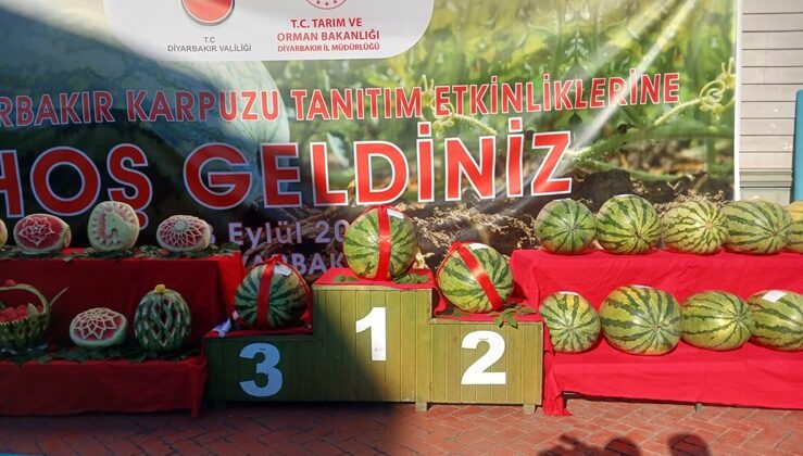 Geleneksel Diyarbakır Karpuzu Festivali Başladı