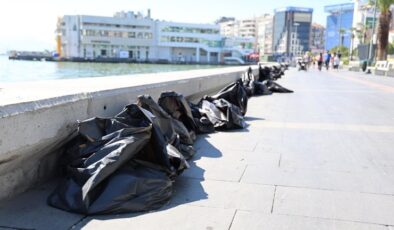 İzmir Körfezi’nde yine binlerce ölü balık görüldü