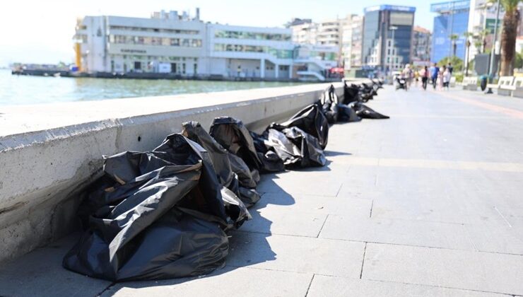 İzmir Körfezi’nde yine binlerce ölü balık görüldü