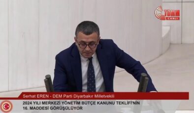 Serhat Eren Mecliste Silvan barajı tahribatlarını sordu