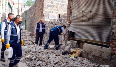 Sur ilçesindeki metruk binalarda ilaçlama çalışması