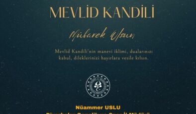 Ters logo hatası!