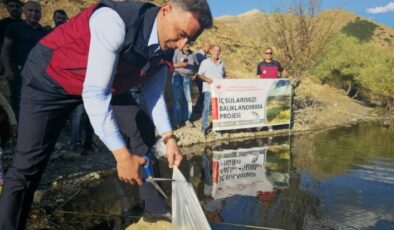Tunceli’de 1 milyon 670 bin yavru sazan salındı
