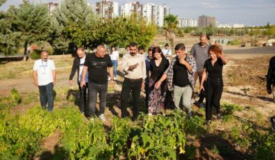 Eş Başkanlar, projeleri yerinde inceledi