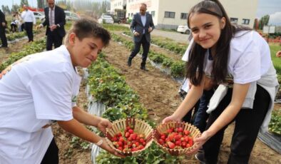 16 Ekim Dünya Gıda Günü’nde öğrenciler Ağrı’da hasat yaptı