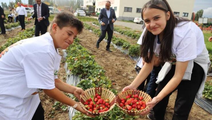 16 Ekim Dünya Gıda Günü’nde öğrenciler Ağrı’da hasat yaptı