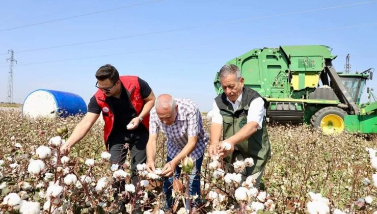 Kaymakam Ülkü, pamuk tarlasında hasada katıldı