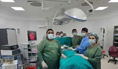 Göğüs Kafesi Açılmadan İki Akciğer Arasındaki Kitle Çıkarıldı