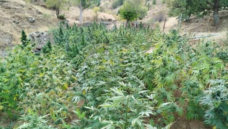 Bingöl’de uyuşturucu operasyonu: 7 gözaltı