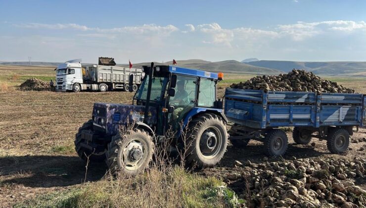 Akyaka’da pancar hasadı hızla devam ediyor