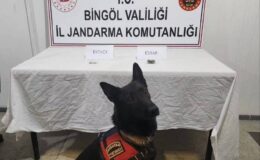 Bingöl jandarması suçlulara geçit vermiyor