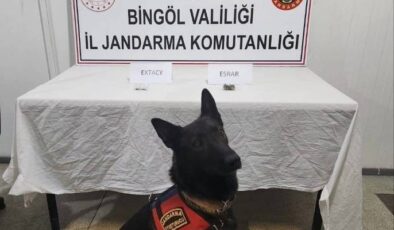 Bingöl jandarması suçlulara geçit vermiyor