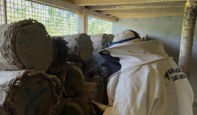 Bitlis’te dünyaca ünlü karakovan balı hasadı başladı