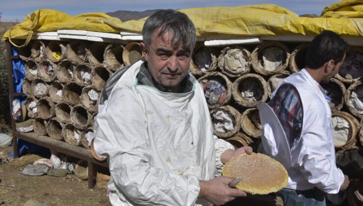 Bitlis’te dünyaca ünlü karakovan balının hasadına devam ediliyor