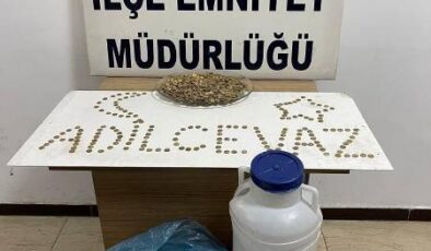 Bitlis’te peynir bidonunda 900 altın sikke ele geçirildi