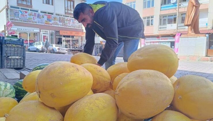 Çemişgezek’in kış kavunu pazarda yoğun ilgi görüyor