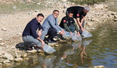 Dicle ilçesindeki Kralkızı Barajı’na 100 bin pullu sazan yavrusu bırakıldı