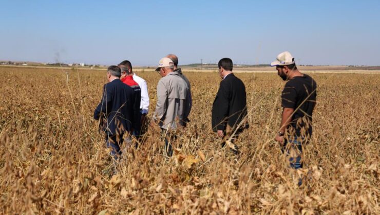 Diyarbakır’da 35 bin dekar soya ekildi, verim beklentisi yüksek