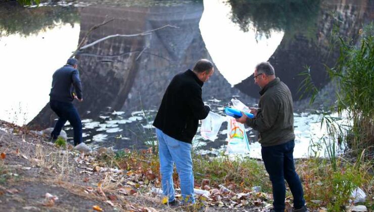 Diyarbakır’da derede balıkların yüzeye çıkması inceleniyor