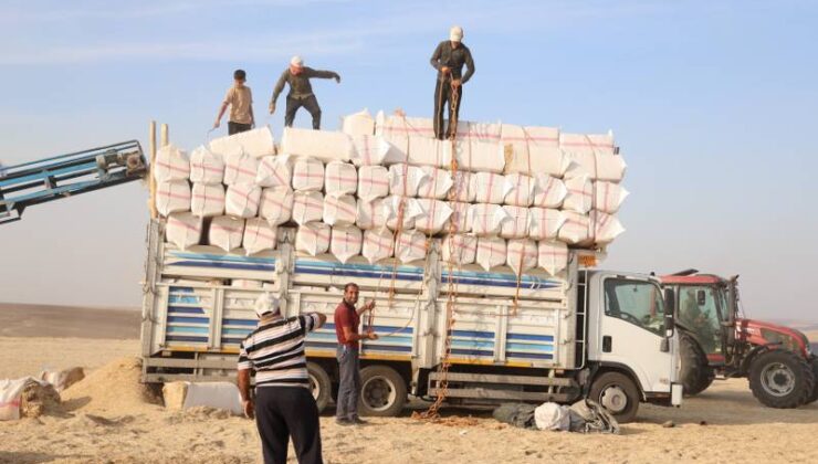 Diyarbakır’da saman presleyen işçiler günde 3 bin lira kazanıyor
