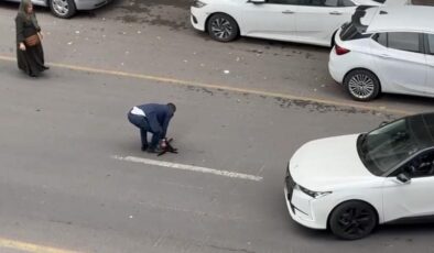 Diyarbakır’da sürücü çarptığı kediyi veterinere götürdü