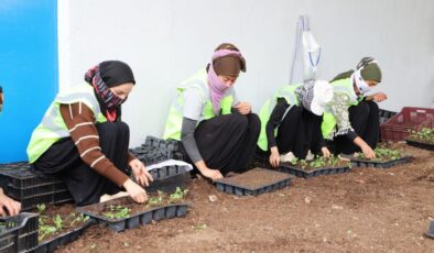 Diyarbakır’ın kavşakları çiçeklerle renklenecek