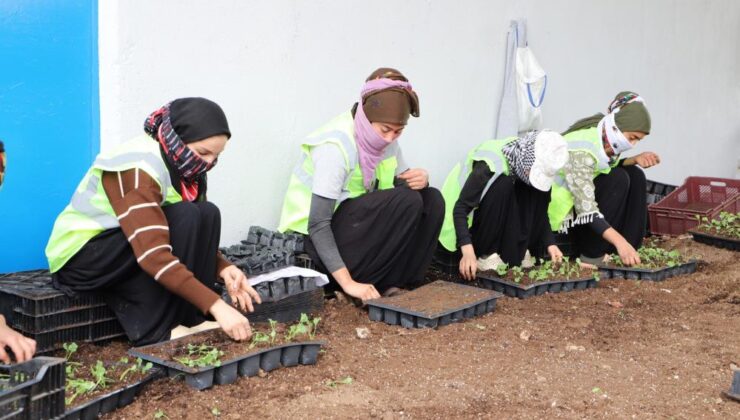 Diyarbakır’ın kavşakları çiçeklerle renklenecek