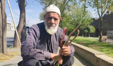 Diyarbakırlı çiftçi, keçiboynuzuyla hem sağlıklı kalıyor hem hayvanlarını besliyor