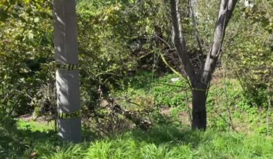 Domuz sanılarak vurulan kadın öldü